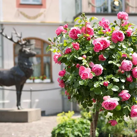 Hirsch Hotell Füssen