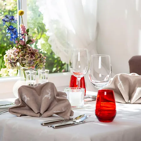 Hirsch Hotel 4*